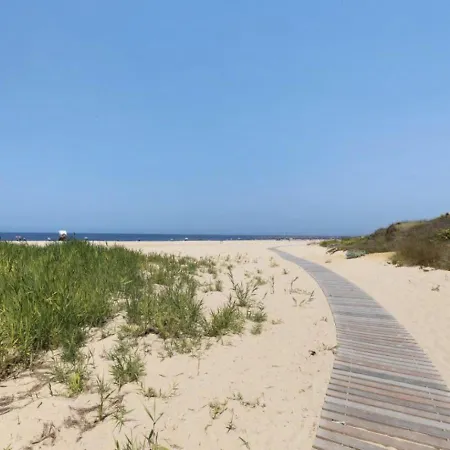 Olive Tree House By Dolcestay * Sesimbra