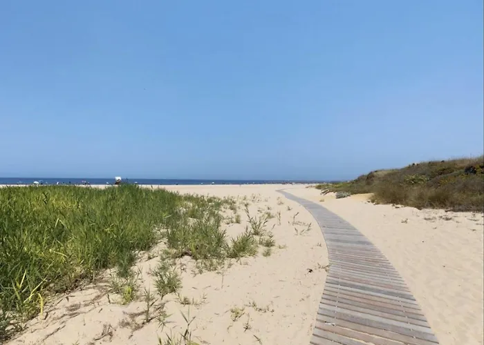 Olive Tree House By Dolcestay * Sesimbra